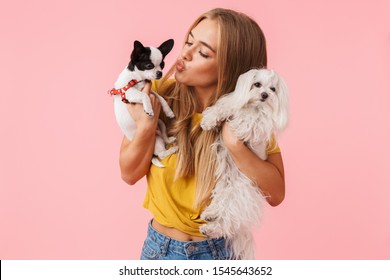 Cute lovely girl playing with her pet chihuahua and lapdog isolated over pink background