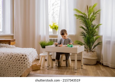 Cute Male Kid Playing Sensory Box Dinosaur World At Comfortable Home Living Room With Houseplants Vegetation. Confident Boy Child Enjoying Early Development Game Montessori Material Kinetic Sand