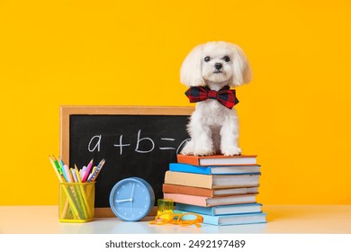 Cute Maltese dog in bow, alarm clock, school stationery and chalkboard with math formula on yellow background - Powered by Shutterstock