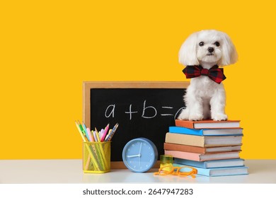 Cute Maltese dog in bow, alarm clock, school stationery and chalkboard with math formula on yellow background - Powered by Shutterstock - Get 15% off with code: PIKWIZARD15