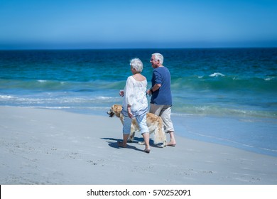 Cute Mature Couple Holding Hands Walking The Dog On The Beach