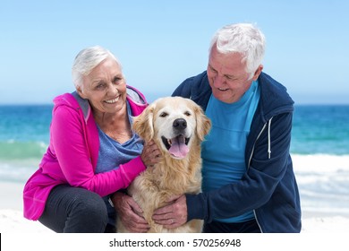 Cute Mature Couple Petting Their Dog On The Beach