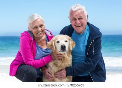 Cute Mature Couple Petting Their Dog On The Beach