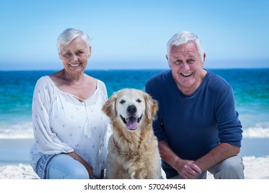 Cute Mature Couple Posing With Their Dog On The Beach