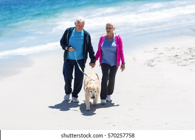 Cute Mature Couple Walking Their Dog On The Beach