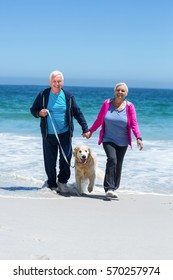 Cute Mature Couple Walking Their Dog On The Beach