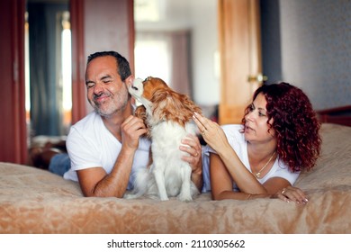 Cute Middle Aged European Couple With A Cavalier King Charles Spaniel Dog In The Bedroom On The Bed. Man And Woman With Pet Dog Cozy Lifestyle In Real Inter