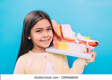 Cute Mixed Race Child Holding Model Of Human Ear. Concept Ear Exam And Ear Treatment