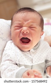 Cute New Born Baby Crying Loudly With Facial Gesture