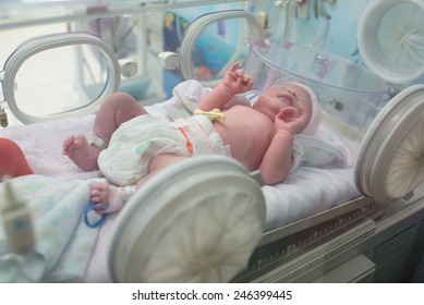 Cute Newborn Baby