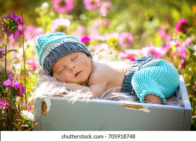 baby photoshoot in garden