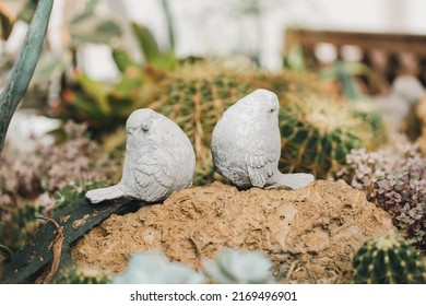 A Cute Pair of Chubby Little Birds Standing Among Healthy Cacti and Other Plants - Shutterstock ID 2169496901
