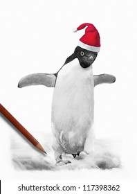 Pinguin Gezeichnet Stock Photos Images Photography Shutterstock