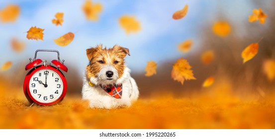 Cute Pet Dog And Alarm Clock With Orange Leaves. Back To School, Autumn, Daylight Savings Time Banner.