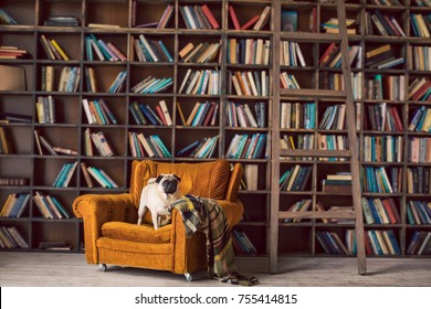 Luxury Home Library Images Stock Photos Vectors Shutterstock