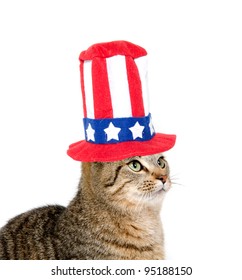 Cute Pet Tabby Cat With Fourth Of July Hat Sitting On White Background