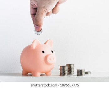 Cute piggy bank, pink color with piles of coins isolated on white background with hand putting coin with copy space. Saving money, Investment and finance concept.