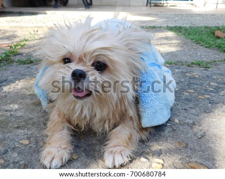 Cute pose after take a bath