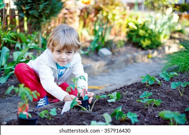 Cute Preschool Blond Kid Boy Planting Seeds And Seedlings Of Tomatoes In Vegetable Garden. Happy Carefree Childhood. Funny Child Having Fun With Gardening In Spring.