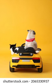 Cute Pug Dog And Cat In Toy Car On Yellow Background, Back View