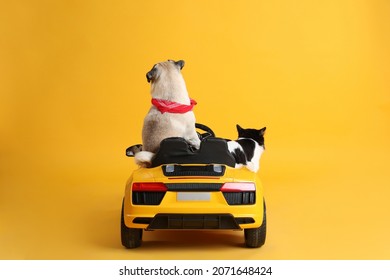 Cute Pug Dog And Cat In Toy Car On Yellow Background, Back View