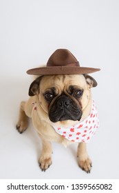 Cute Pug Dog Wearing Canadian Mountie Hat And Bandana For Canada Day 