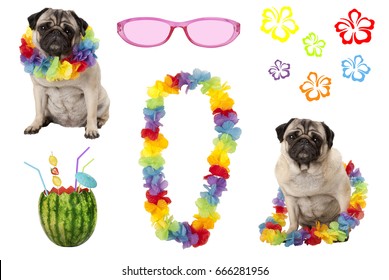 Cute Pug Puppy Dog With Colorful Summer Party Elements, Isolated On White Background