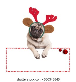 Cute Pug Puppy Dog With Reindeer Antlers And Ears Diadem, With Paws Leaning On Blank Sign On White Background