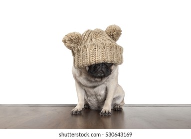 Cute Pug Puppy Dog Sitting Down On Wooden Floor, Being Annoyed For Not Seeing Anything By Knitted Hat Covering Eyes