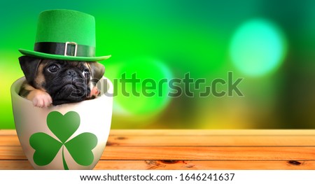 Cute pug puppy inside a mug wearing a leprechaun hat. Saint Patrick's Day theme concept. 