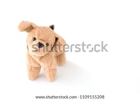 cute puppy on white background, A portrait of lovely dogs with a smiley face.