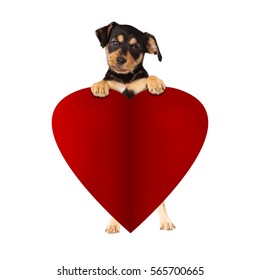 23,721 Animal holding heart Images, Stock Photos & Vectors | Shutterstock