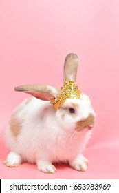 4,757 Rabbit With Crown Images, Stock Photos & Vectors | Shutterstock