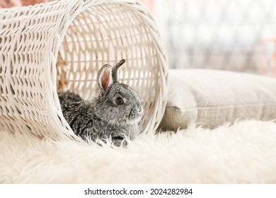 Cute Rabbit In Wicker Basket At Home