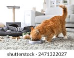 Cute red cat eating from bowl at home