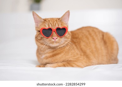Cute red cat with red heart-shaped sunglasses sits on a white bed. Postcard with cat with space for text. Concept Valentine's Day, wedding, women's day, birthday