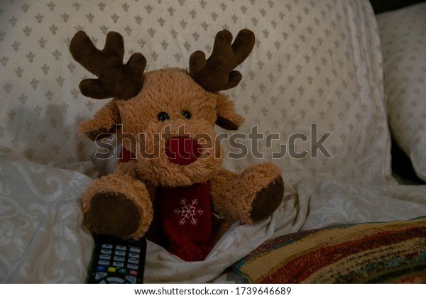 cute reindeer teddy