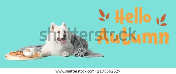 Cute Samoyed dog with warm plaid,\
breakfast and text HELLO, AUTUMN on turquoise\
background