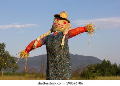 12,672 Field scarecrow Images, Stock Photos & Vectors | Shutterstock