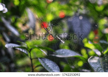 Similar – Image, Stock Photo The way Environment Nature