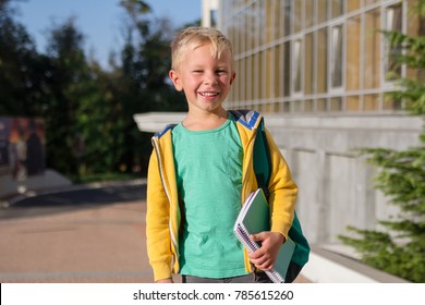 Cute Schoolboy With Books And A Backpack