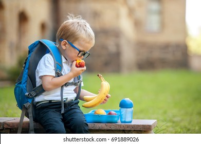 Cute schoolboy eating outdoors the school from plastick lunch boxe. Healthy school breakfast for child. Food for lunch, lunchboxes with sandwiches, fruits, vegetables, and water.  - Shutterstock ID 691889026