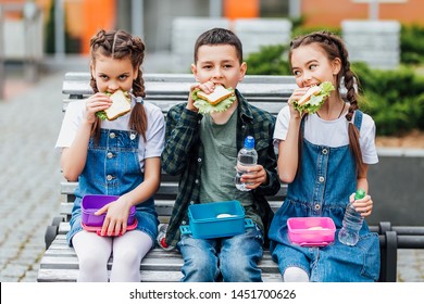 Cute Schoolboy And Girls Eating Outdoors The School From Plastick Lunch Boxe. Healthy School Breakfast For Child.