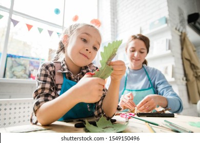 Cute Schoolgirl With Scissors Cutting Dry Oak Leaf While Helping Her Teacher With Decorations For Holiday At Lesson