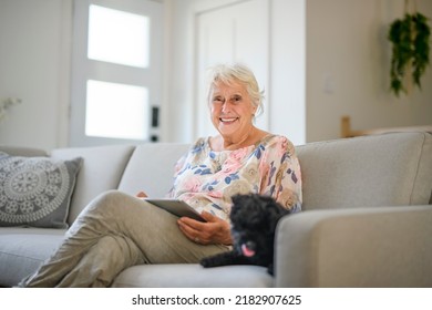 A cute senior woman with poodle on the living room using a tablet - Powered by Shutterstock