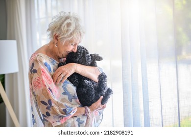 A cute senior woman with poodle on the living room - Powered by Shutterstock