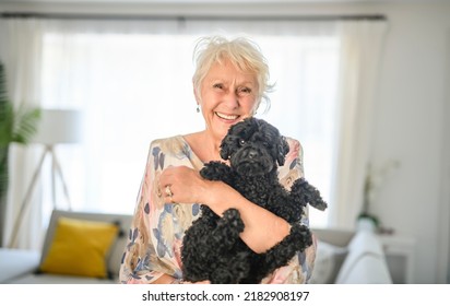 7,038 Women poodles Images, Stock Photos & Vectors | Shutterstock