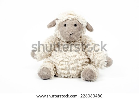 cute sheep toy isolated on a white background 