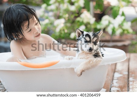 Similar – Image, Stock Photo Cute wet puppy dog with foam on head in shower