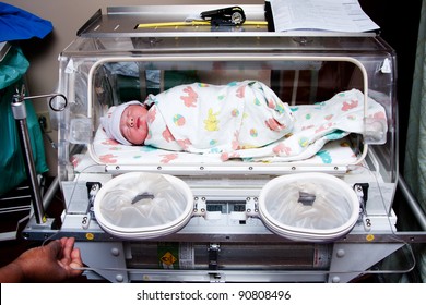 Cute sick newborn premature neonatal baby swaddled in bunny blanket placed in incubator chamber in hospital.